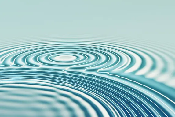 Casino Bonanza Game Supporto